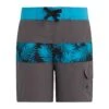 Boys' Dotted Palm-Print Swim Shorts - Grey & Blue