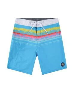 Dazed 20" Boardshort - Blue