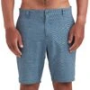 Vacayer 19" Walkshort - Blue