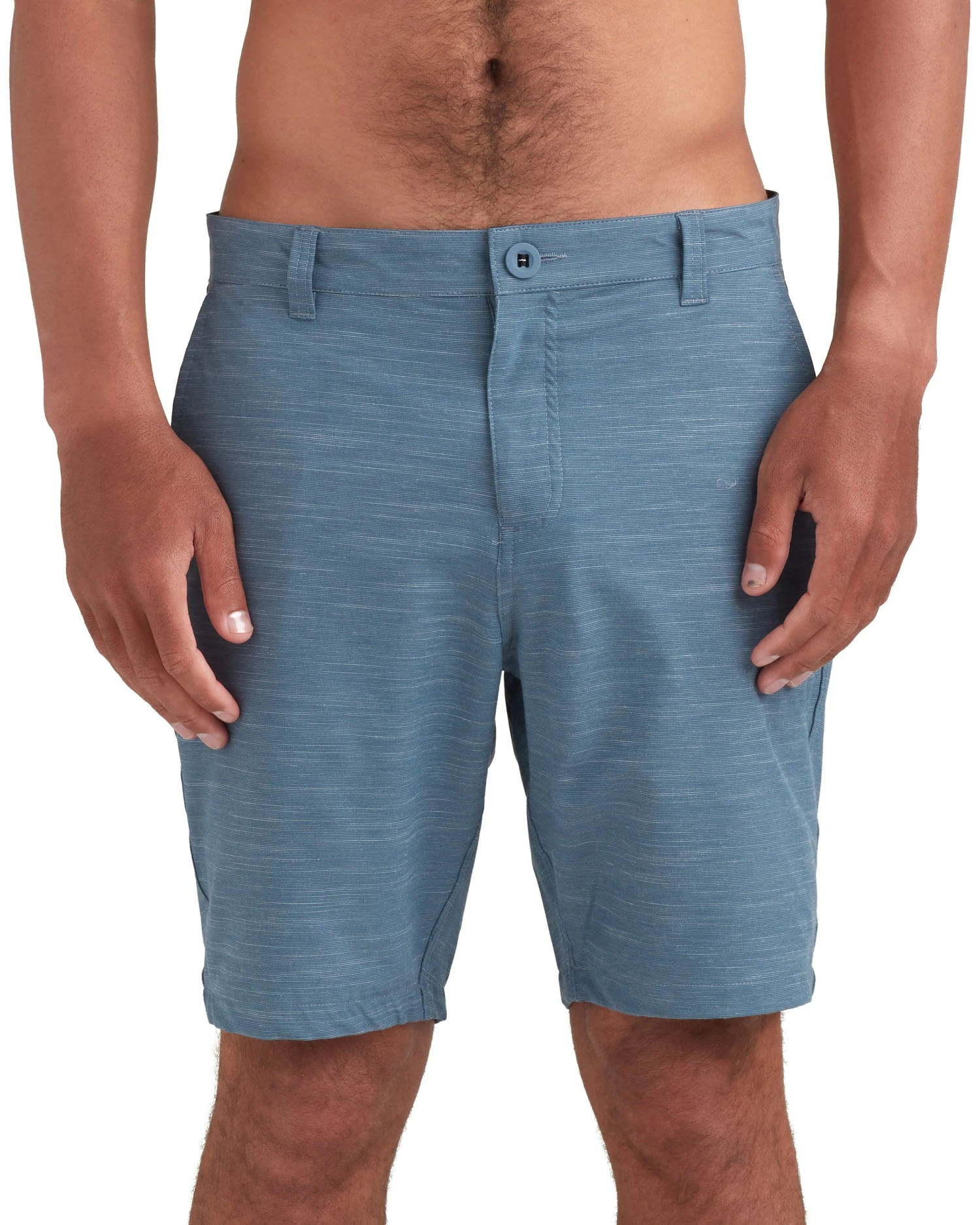 Vacayer 19" Walkshort - Blue